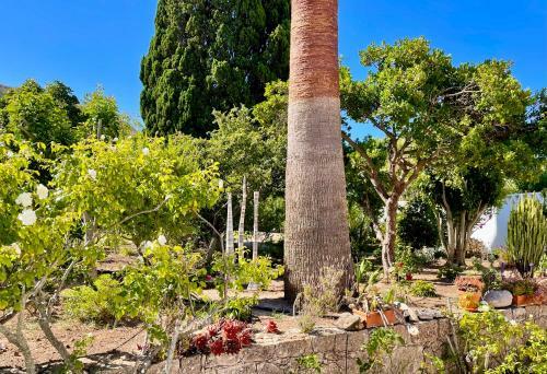 Charming Villa With Heated Pool Near Sandy Beach, Hiking, Golf And Wineries