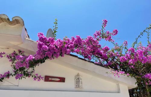 Charming Villa With Heated Pool Near Sandy Beach, Hiking, Golf And Wineries