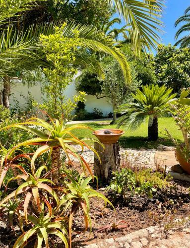 Charming Villa With Heated Pool Near Sandy Beach, Hiking, Golf And Wineries