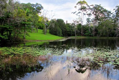 Montville Country Cabins