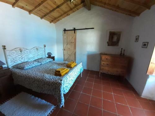 Casa Da Piscina