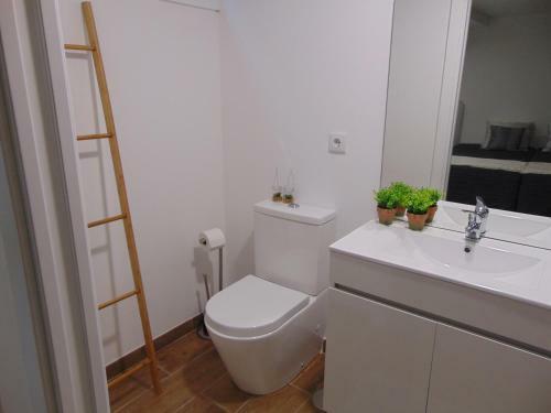 Apartamento Casa Da Fonte