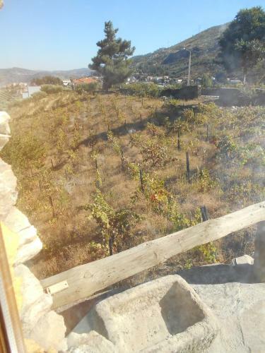 Casa Da Vinha Em Tabua�o - Douro