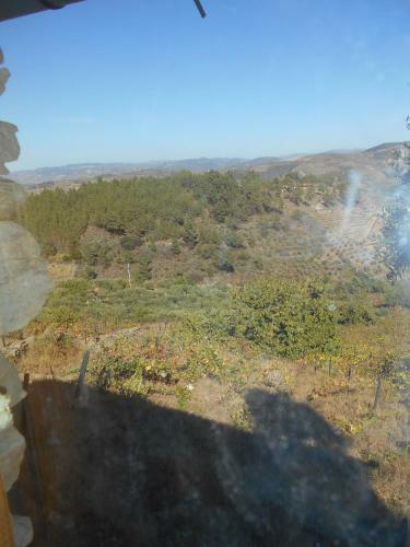Casa Da Vinha Em Tabua�o - Douro