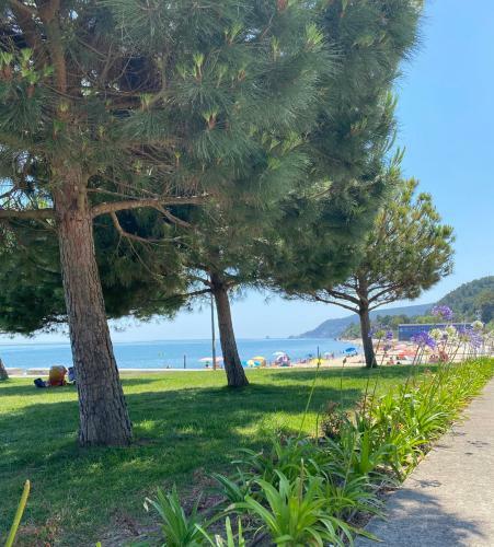 Apartamento Breeze Beach House