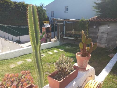 Agroturismo Casa Dos Cedros