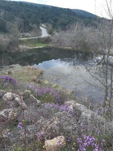Hostal Quinta Da �gua