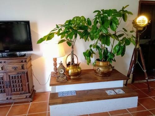 Hostal Beach House Babylon Guest House With Kitchenette And Garden