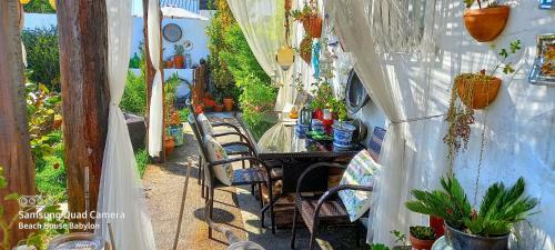 Hostal Beach House Babylon Guest House With Kitchenette And Garden