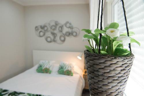 Apartamento Zen House