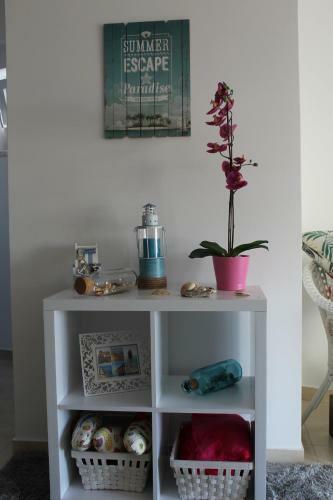 Apartamento Casa Da Ma��