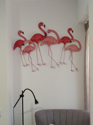 Apartamento Flamingo