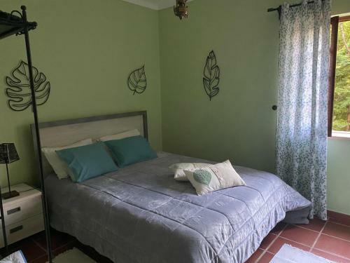 Casa Riotempo + Jangada