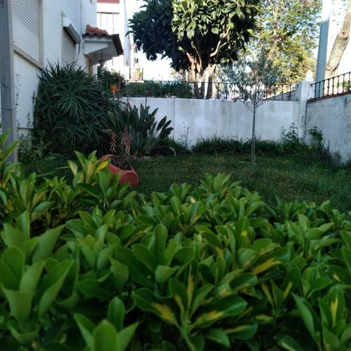 Apartamento Tomarhousing - Garden