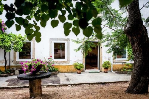 Quinta Da Bizelga Cottages