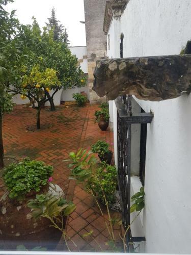 Quinta Da Bizelga Cottages