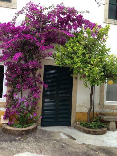 Quinta Da Bizelga Cottages