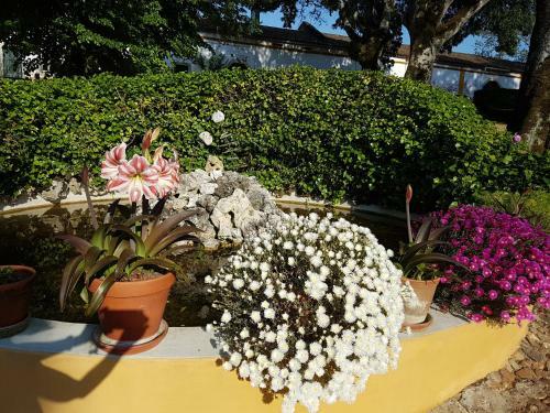 Quinta Da Bizelga Cottages