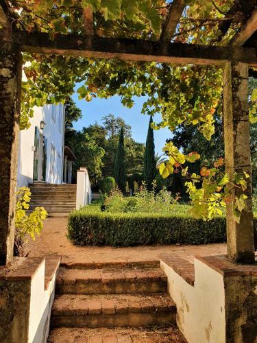 Quinta Da Bizelga Cottages