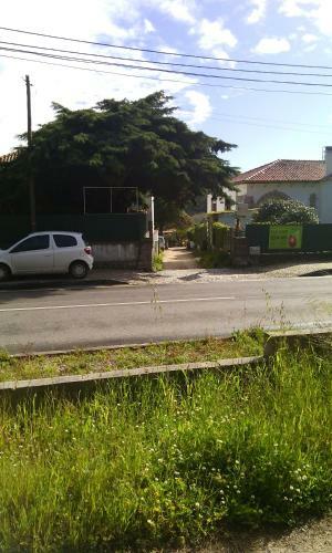 O Meu Canto
