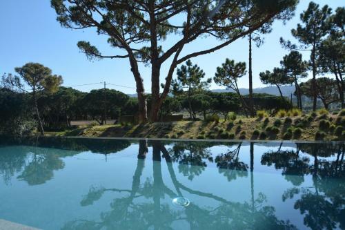 Villa Excalibur