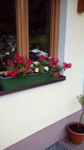 Hotel Gasthof Sch�nblick