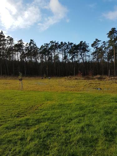 Apartamento Sonnenstrahl Im K�stenwald