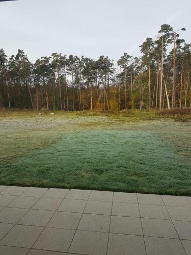 Apartamento Sonnenstrahl Im K�stenwald