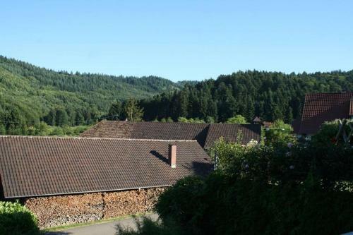 Apartamento Ferienwohnung H�hner
