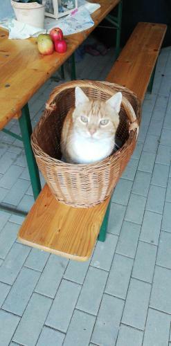 Apartamento Fw Achterdeck, Petershof-lehbek