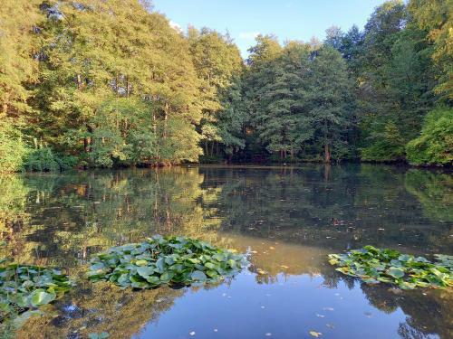 Apartamento Ferienwohnung Am Waldsee