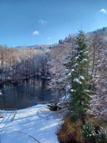 Apartamento Ferienwohnung Am Waldsee