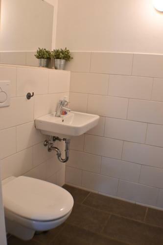 Kuhstall Mit Schick