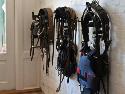 Apartamento Landhaus Pur