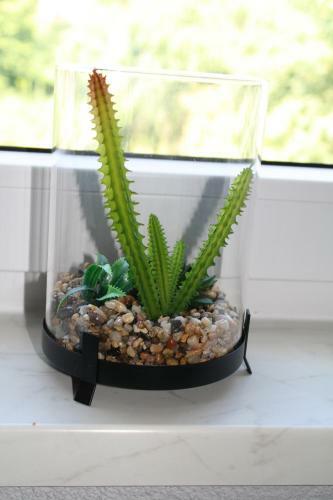 Apartamento Harz-traum.2