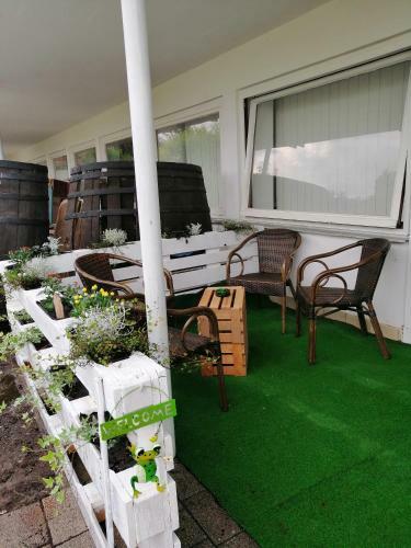 Apartment Froschk�nig