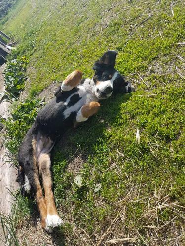 Apartamento Elisabethhills