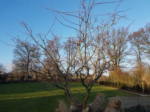 Apartamentos Appartement Lohe