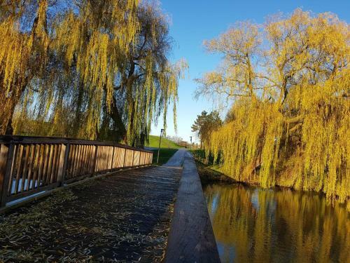 Apartamento Deichdomizil