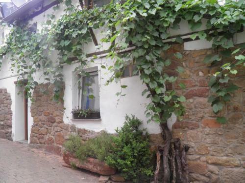 Apartamento Weingut-ferienhof Sch�fer