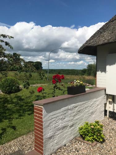 Apartamento Ferienwohnung Piesch