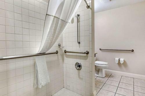 Hotel Microtel Inn & Suites By Wyndham Longview