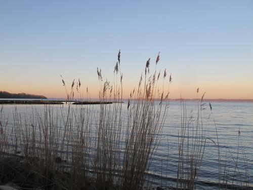 Apartamento Fewo Muschel