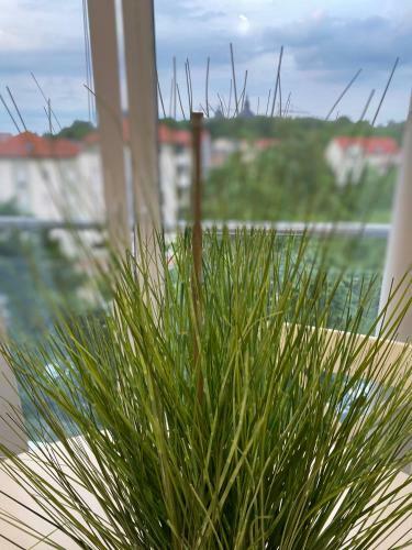 Apartamento Rosemarie