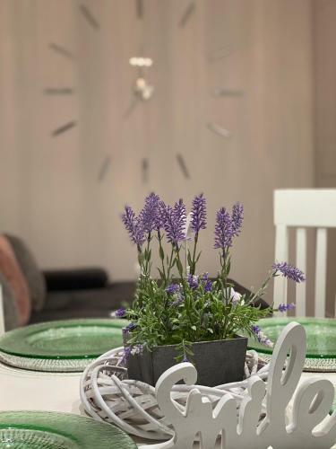 Apartamento Rosemarie