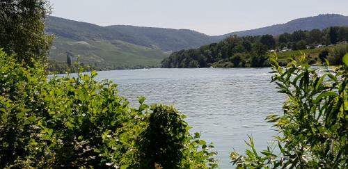Apartment An Der Mosel