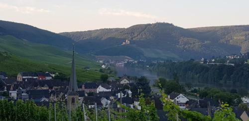 Apartment An Der Mosel