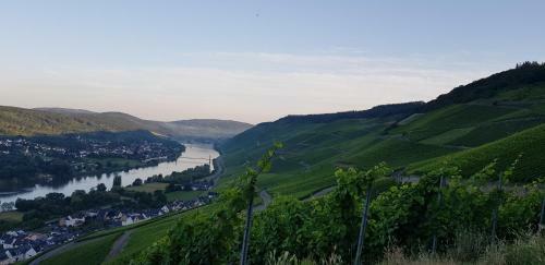 Apartment An Der Mosel