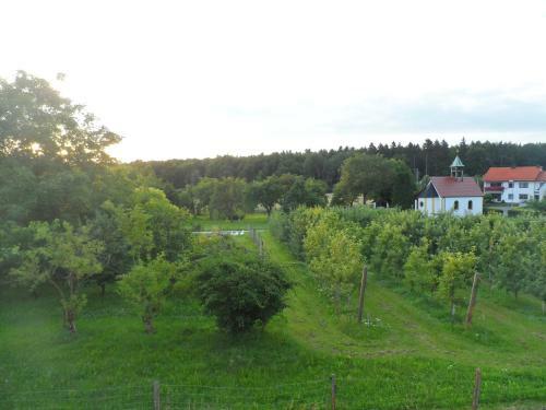 Hostal Pension Am Kirschgarten