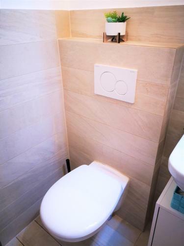 City Apartments